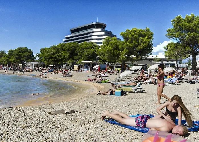 Diora And Silver וודיצה